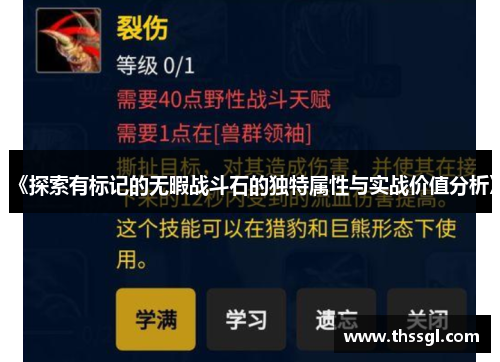 《探索有标记的无暇战斗石的独特属性与实战价值分析》